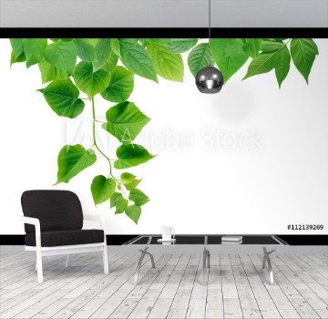 Picture of Green Leaves Border